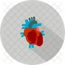 Heart Medical Tool Icon