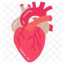 Heart Pump Muscular Organ Icon