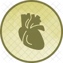 Heart Body Human Icon