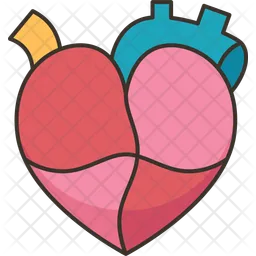 Heart  Icon