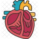 Heart Valves Cardiology Icon