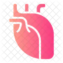 Heart Anatomy Organ Icon