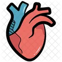 Heart Cardiovascular Cardio Icon