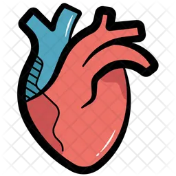 Heart  Icon