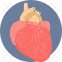 Heart Medicine Medical Icon