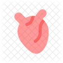 Heart Human Organ Icon