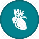 Heart Healthcare Medical Icon