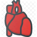 Heart Organ Health Icon