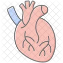 Heart Lineal Color Icon Icon