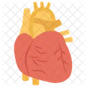 Cardiology Heart Organ Icon