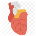 Cardiology Human Heart Body Organ Icon