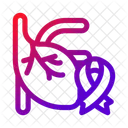 Heart Ribbon Cardiovascular Icon