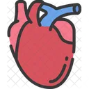 Heart Organs Health Care Icon
