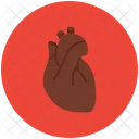 Cardiology Anatomy Cardiovascular Icon