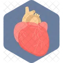 Heart Love Treatment Icon