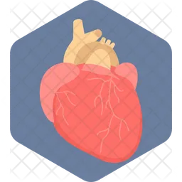 Heart  Icon