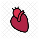 Heart Body Organ Icon