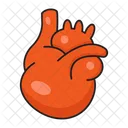 Heart Cardiology Body Icon