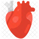 Heart Cardiac Health Cardiac Muscles Icon