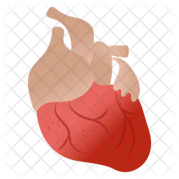 Heart  Icon