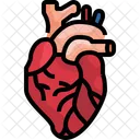 Heart Organ Body Part Icon
