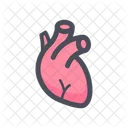 Heart Heartbeat Cardiologist Icon