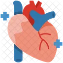 Heart Organ Medical Icon