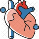 Heart Organ Medical Icon
