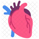 Heart Anatomy Blood Icon