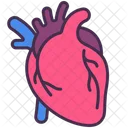 Heart Organ Human Icon