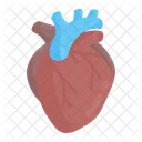 Heart Cardiology Heartbeat Icon