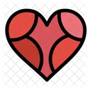 Heart  Icon