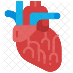 Heart  Icon