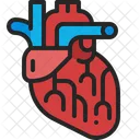 Heart Cardiology Organ Icon
