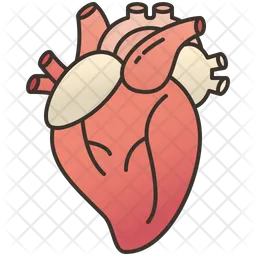 Heart  Icon