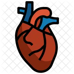 Heart  Icon