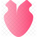 Medicine Heart Organ Icon