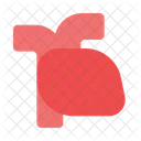 Heart  Icon