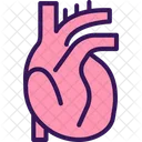 Medicine Heart Organ Icon