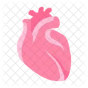 Heart Ordan Medical Icon