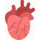 Heart Cardiology Artery Icon