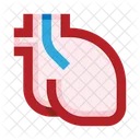 Heart Internal Organ Icon