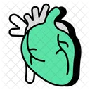 Heart Heartbeat Cardio Icon