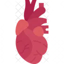 Heart Cardiology Organ Icon