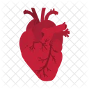 Heart Internal Organ Love Icon