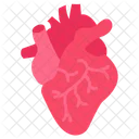 Heart Cardiology Heart Health Icon