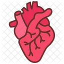 Heart Cardiology Heart Health Icon