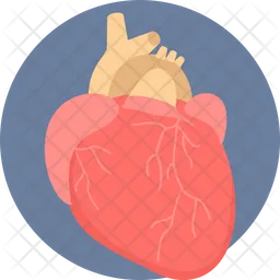 Heart  Icon