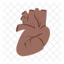 Heart Body Organ Icon
