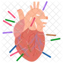 Heart Acupuncture Acupressure Emotional Healing Icon